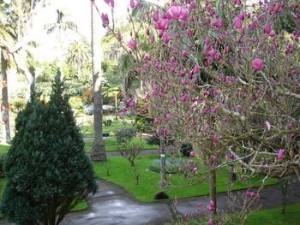 Jardim Duque da Terceira in Angra do Heroísmo (Terceira)