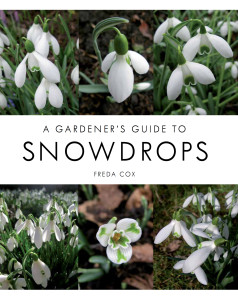 Gardeners Guide to Snowdrops